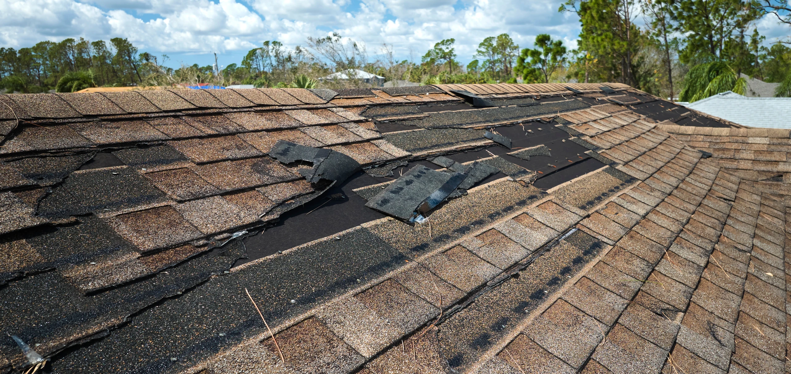 roof damage warning signs
