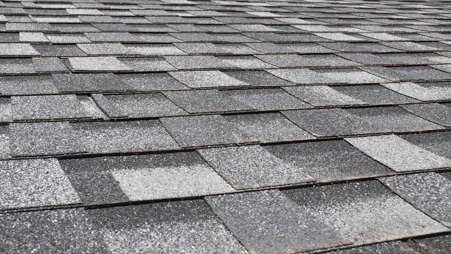 Signs You Need Roof Repair Services