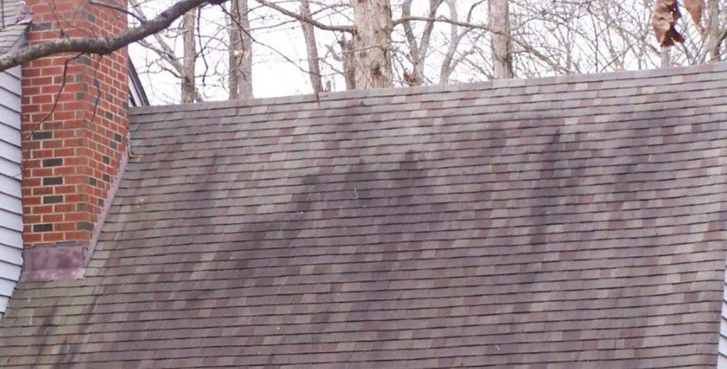 What-Causes-Roof-Stains