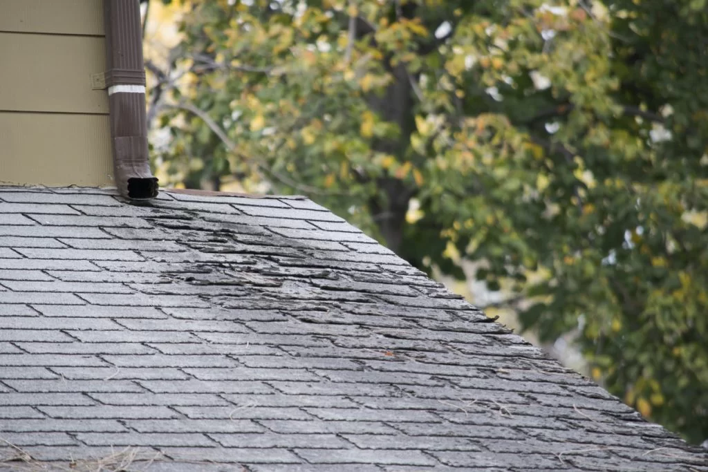 common-causes-of-roof-leak